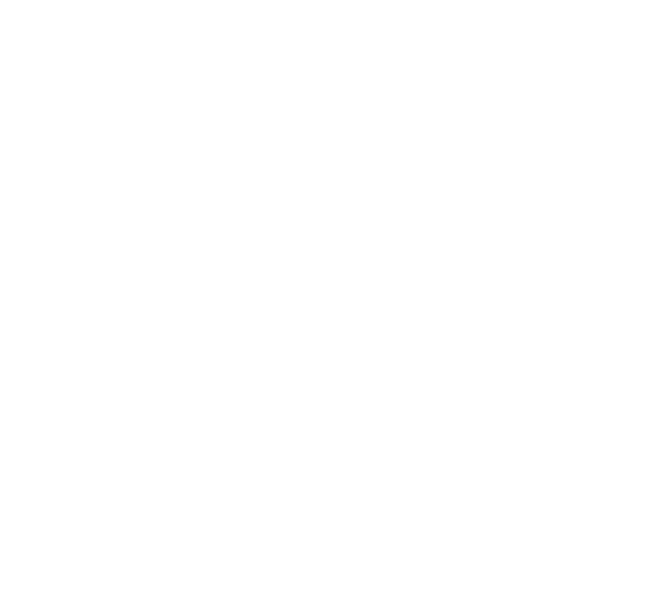 Logo-MSI